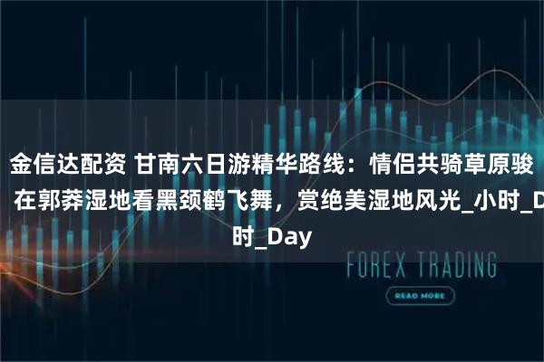 金信达配资 甘南六日游精华路线：情侣共骑草原骏马，在郭莽湿地看黑颈鹤飞舞，赏绝美湿地风光_小时_Day