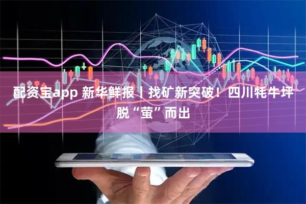 配资宝app 新华鲜报丨找矿新突破！四川牦牛坪脱“萤”而出